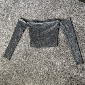 Tight Shimmering Long Sleeve Crop